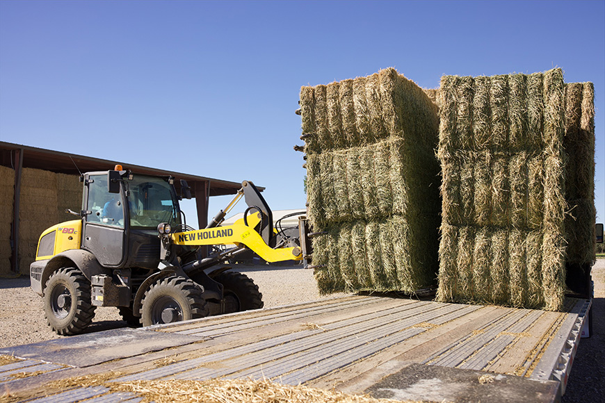 3 Ways To Make Alfalfa Management More Efficient