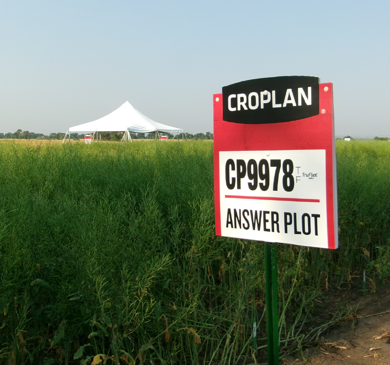 CROPLAN alfalfa variety sign in Answer Plot trial field
