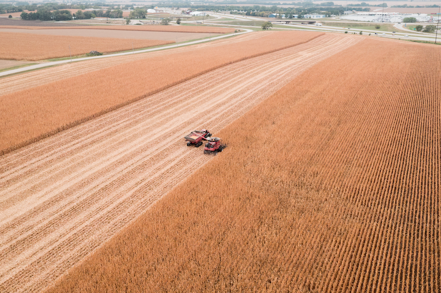 Combine harvesting corn into a grain cart. 