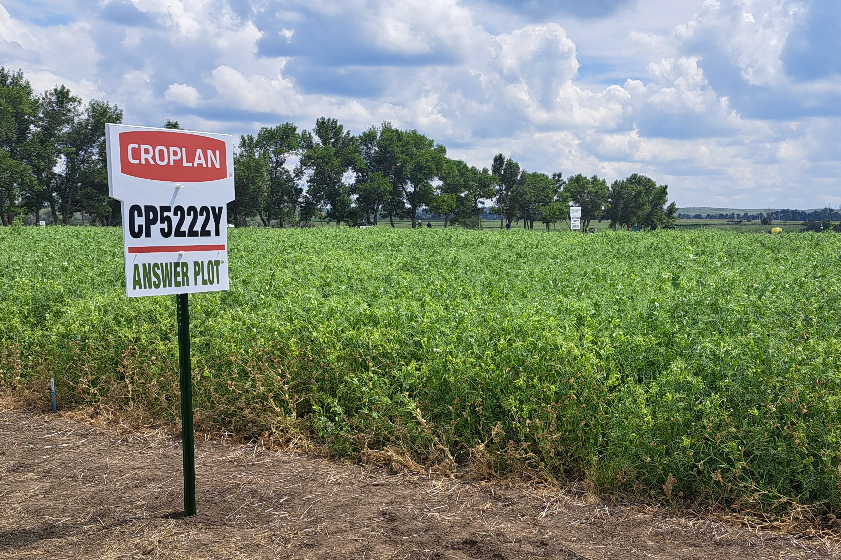 Answer Plot® sign in front of a green alfalfa field under a cloudy sky
