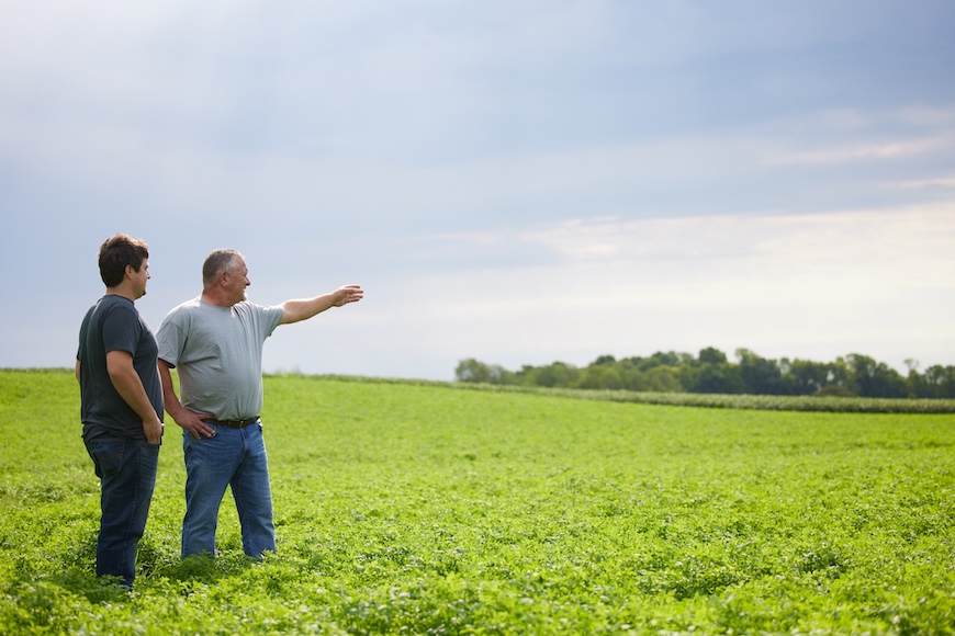 Two men standing in a field of alfalfa. The man on the right points off in the distance.