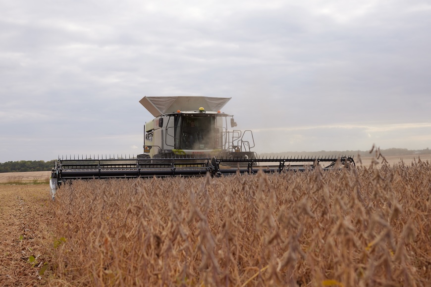 Combine harvesting a cornfield.