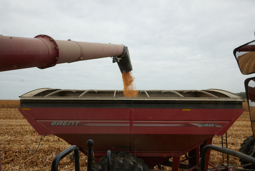 Combine dumping corn load into grain cart.