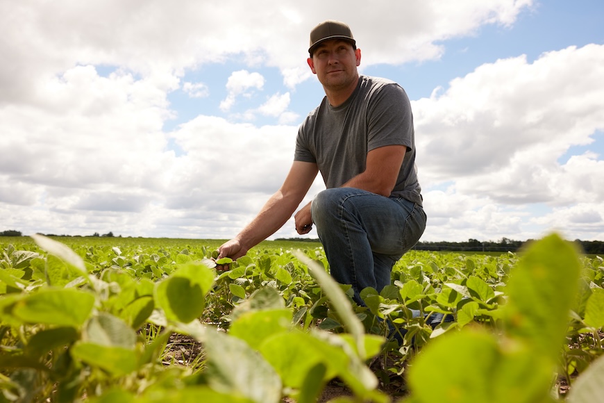 Grower looking out at soybean field