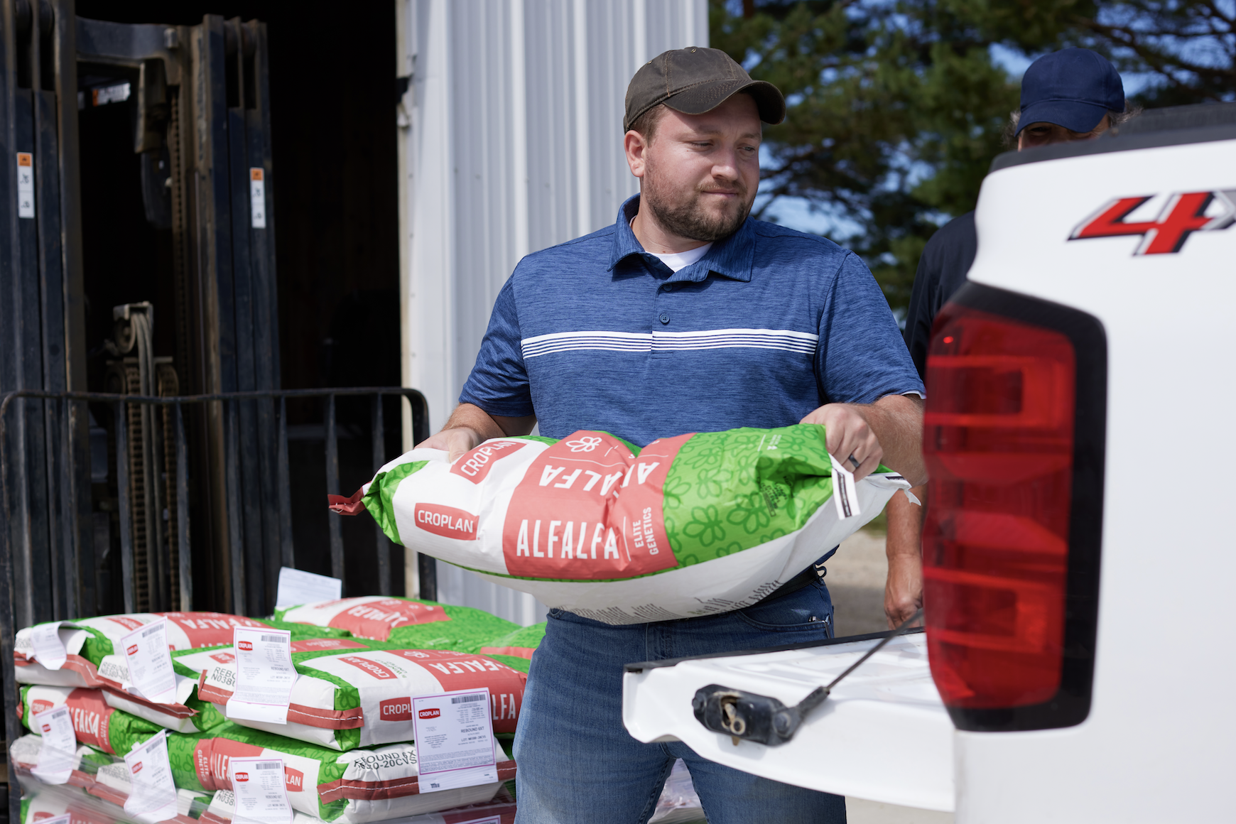 CROPLAN Seed alfalfa bag