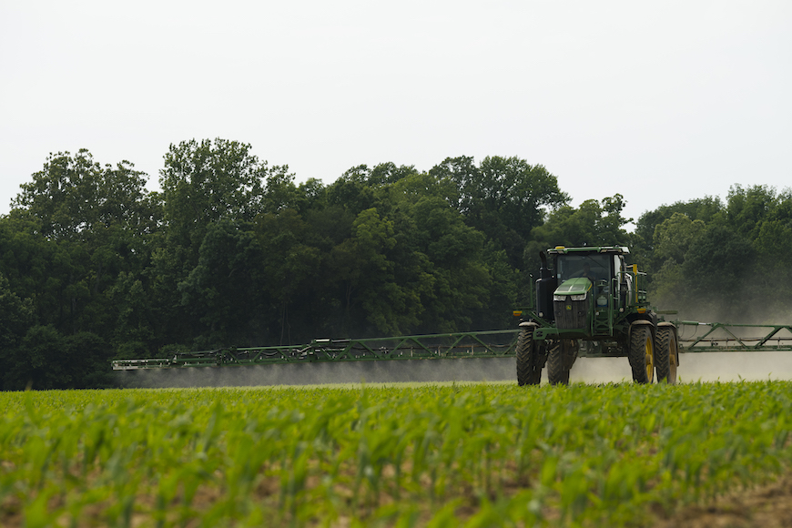 Spraying early crops in a corn field