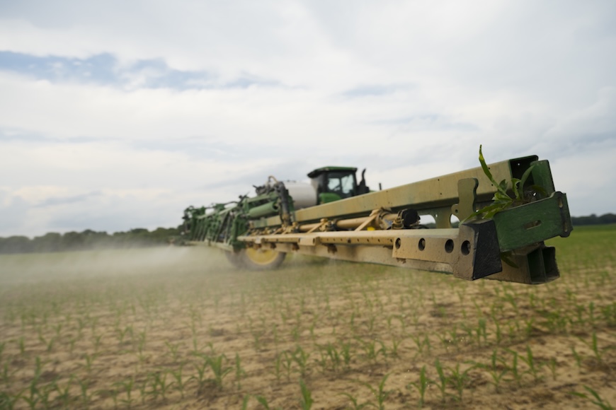 Sprayer making a post-emergence application to a corn field