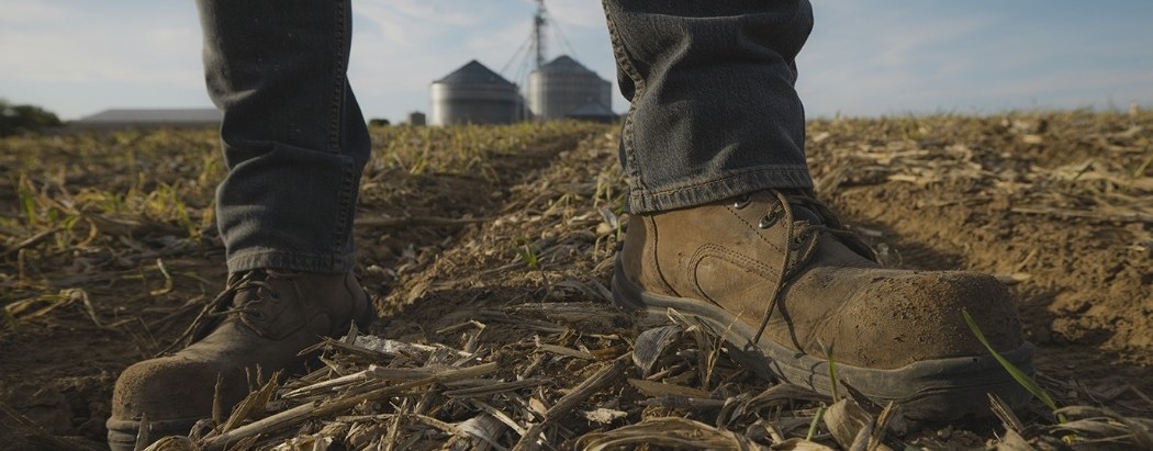 Farmer boots standing in a field