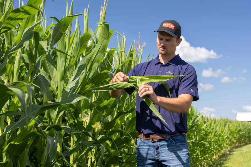 Grower wearing a CROPLAN® seed hat examining corn in field