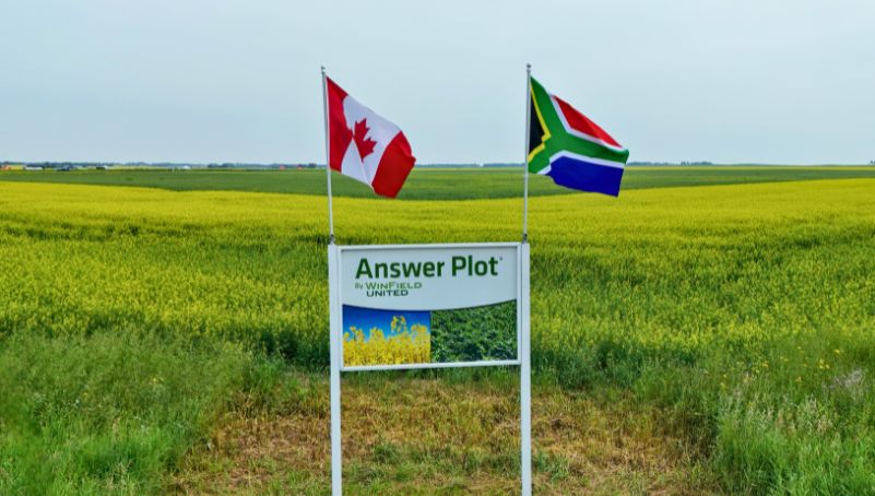 Answer Plot Sign