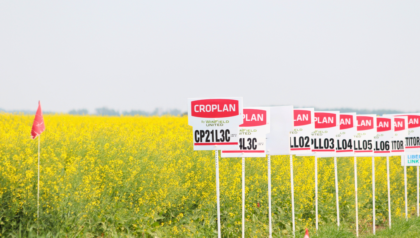 CROPLAN® Canola Trials: Performance Across the Prairies