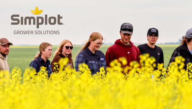 Simplot