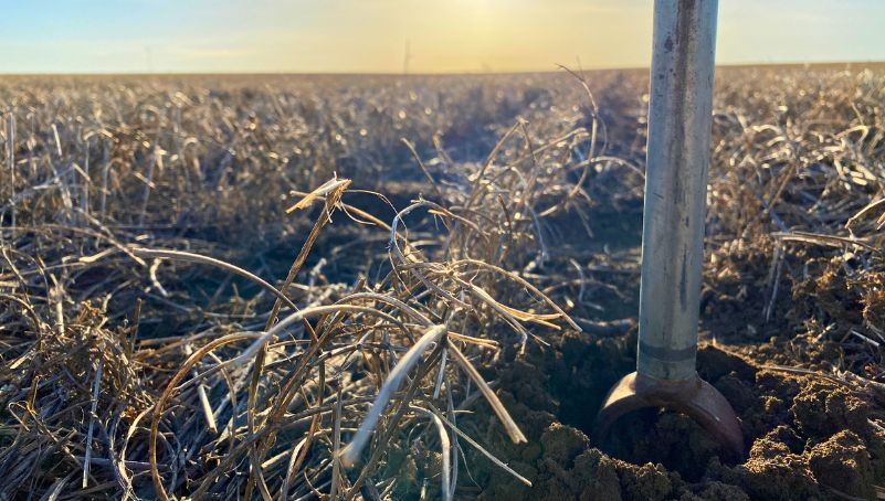 Fall Soil Testing