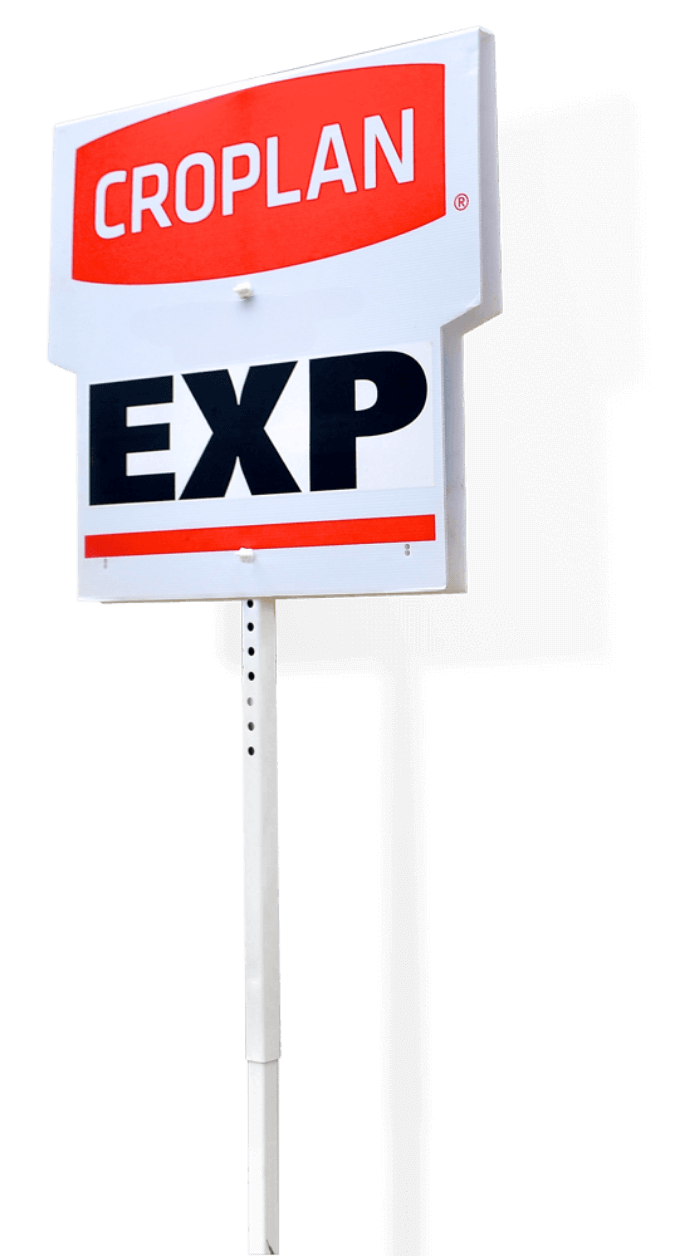 agronomie exp large B