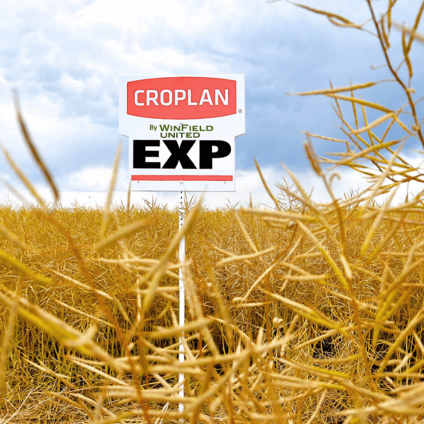 innovation croplan EXP
