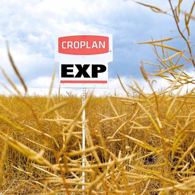 innovation croplan EXP