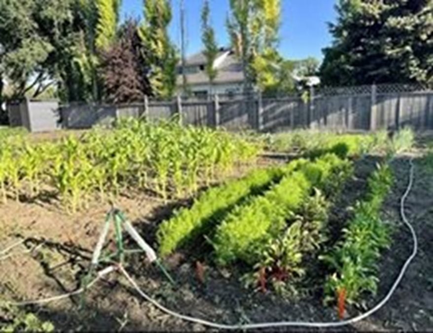 Community Garden and Greenhouse Project