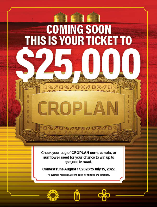 golden ticker coming soon page
