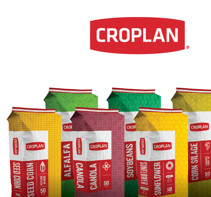 corn-trial